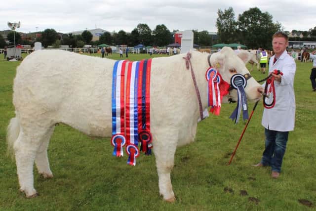 Ritchie Devine, from Artigarvan, with the Champion of Champions at this year's Omagh Show