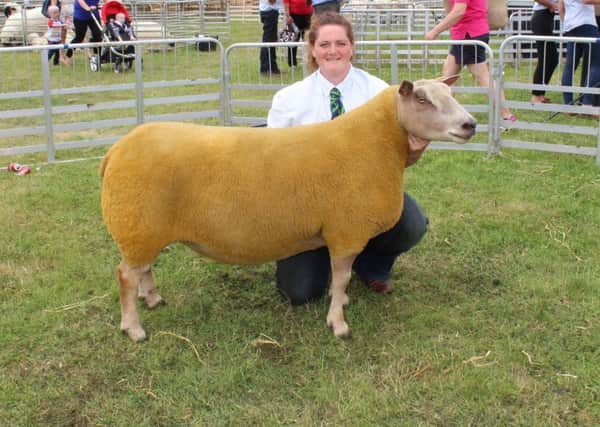 Elizabeth McAllister, from Kells, with the Sheep Inter-Breed champion at Omagh Show 2018