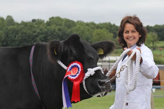 Gail Matchett, Portadown, exhibited the Aberdeen Angus champion at Saintfield Show. Picture: Julie Hazelton