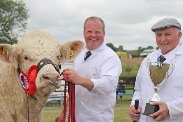 Albert and David Connolly, Ballynahinch, with the County Down interbreed beef champion Brigadoon Nebulus at Saintfield Show. Picture: Julie Hazelton