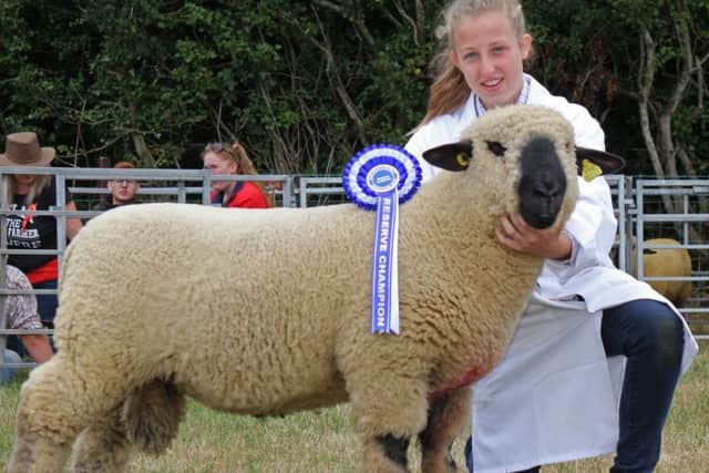 Samantha Todd, Ballynahinch, exhibited the reserve Hampshire Down champion at Saintfield Show. Picture: Julie Hazelton