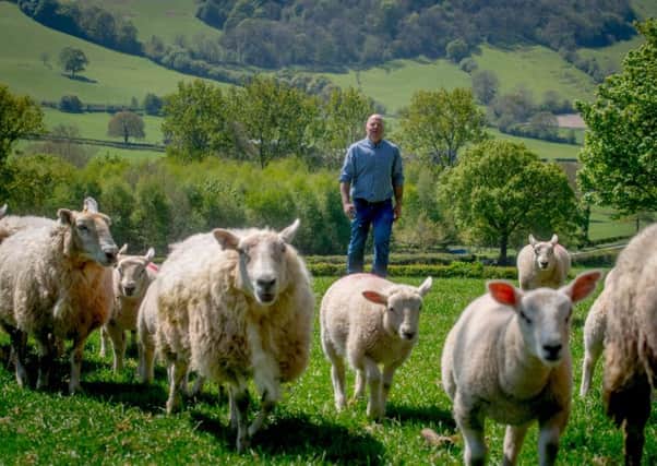 Welsh sheep farmer Richard Wilde
