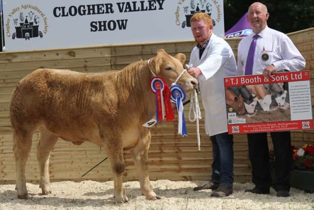 Christopher McCrea exhibited the reserve commercial beef champion at Clogher Show. Included is John Gervis, TJ Booth. Picture: Julie Hazelton