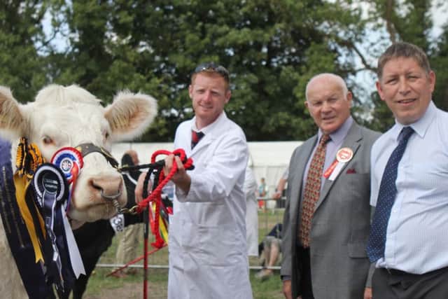 Interbreed beef champion, and supreme overall champion in the cattle section at the 100th Anniversary Clogher Valley Show was Brownhill Mo owned by Devine Bros, Strabane. Richie Devine is pictured with Scottish judge Ian Anderson; and Danske Bank's Rodney Brown, sponsor. Picture: Julie Hazelton