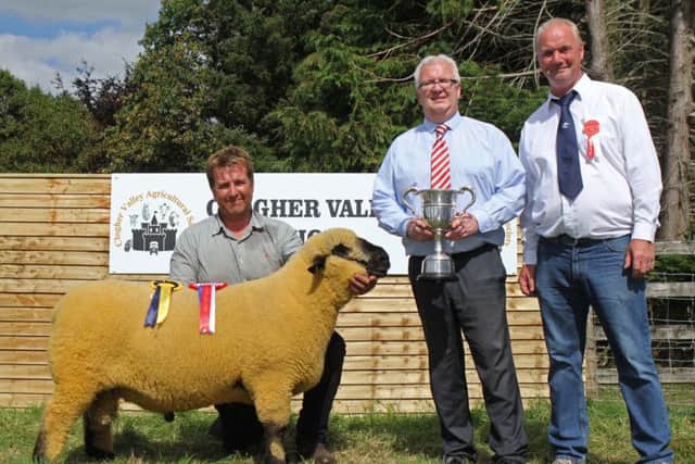 Hampshire Down champion and supreme interbreed sheep champion at the Centenary Clogher Show was a shearling ram owned by Sean Doyle, Katesbridge. Included is Killen Donnell, Danske Bank, sponsor; and breed judge Trevor Fegan. Picture: Julie Hazelton