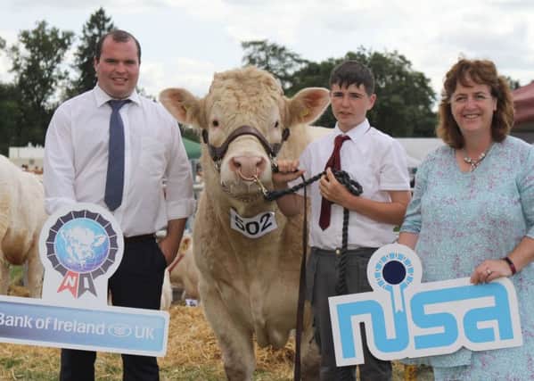 Clogher Show qualifier for the Bank of Ireland and NISA junior beef bull championship was Kenaghan Nacho shown by Conor Ruddy, Strabane. Included are Richard Primrose, Bank of Ireland; and Fiona Patterson, chairman, NISA. Picture: Julie Hazelton