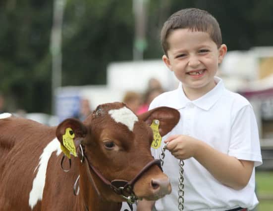Prize-winning dairy young handler Ashton Wallace from Antrim. Picture: Julie Hazelton