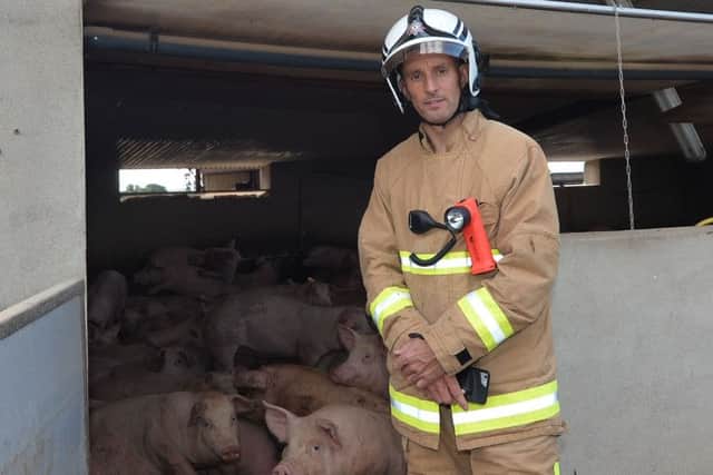 Pacemaker Press 29/07/18
Group Commander Geoff Somerville pictured as 72 pigs  have been rescued in Northern Ireland's largest ever animal rescue operation,  on a  farm on the Ballinderry Road in Aghalee on Sunday
34 Fire fighter where  in attendance including Crews from Lurgan and Crumlin Fire Stations,  A Specialist Rescue Team from Central Fire Station and 2 animal rescue teams from Newcastle and Omagh.
The pigs, weighing over 100 kilos each, fell into the slurry tank when concrete slots gave way. Unfortunately two pigs died during the operation.
Pic Colm Lenaghan/Pacemaker