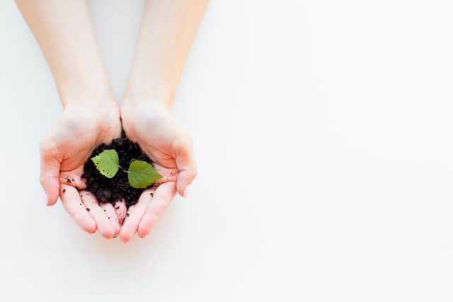 An image of two hands holding a plant