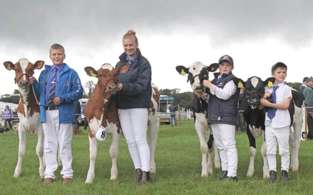 Ayrshire competitors Jack and Amy King, Ballymena, and Holstein competitors Adam and Thomas Torrens, Garvagh, are looking forward to the 16th multi-breed dairy calf show at Ballymena Mart on Saturday 18th August. Judging commences at 10am.