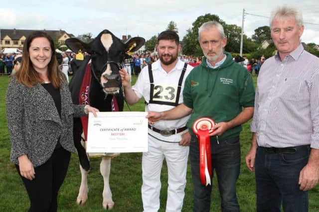 No 37 Co Carlow Breeder Liam Murphy has won Best EBI Award at the 2018 Diageo Baileys Champion Cow Competition with his cow Evergreen Gala 6.