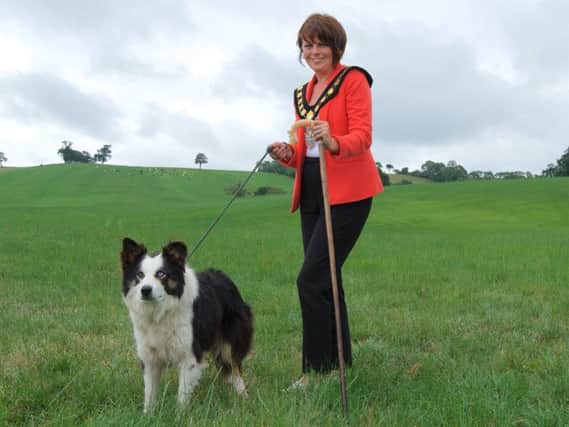 Councillor Julie Flaherty, Lord Mayor of Armagh, Banbridge and Craigavon Borough Council is pictured ahead of next week's International Sheepdog Trial which will be held at Gill Hall Estate in Dromore, Co Down
