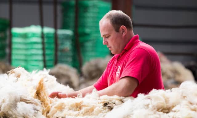 Depot Manager Stephen Preston, grading some of this years clip at the Ulster Wool Depot