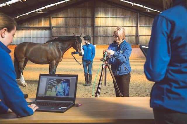 Equine Innovation Day on 16 October will showcase new developments and technologies in the industry.
