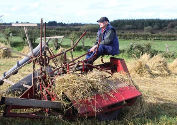 James McCollum at the Charity Corn field Cutting at Friary Road Armoy organised by a group of North Antrim Vintage Enthusiasts.Pictures Kevin McAuley/Patrick O Brien/McAuley Multimedia