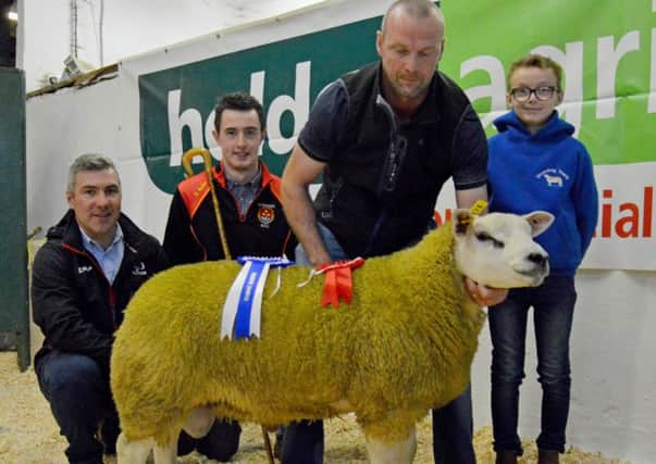 Alistair Breen Drumderg Texels and son Harry accepting their Holden Agri Ltd Reserve Champion rosette for their Ram lamb at Lisahally from Sponsor Alan Holden and judge Robbie Foster.