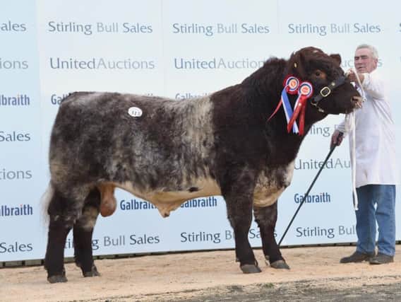 Male champion, Shawhill Leroy, 12,000gns