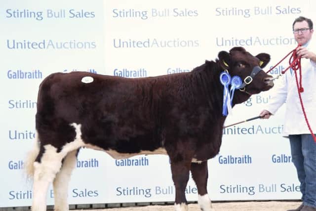 Reserve female champion, Ballyvaddy Heathermaid, 3,500gns
