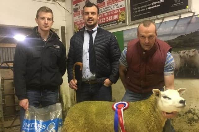 David Armstrong, Smyths Daleside representative, andjudge Cathal Harkin hands over the Smyths Daleside Champion Rosette to Alistair Breen, Drumderg Texels, for his Ram Lamb exhibit at Gortin Club Show and Sale.