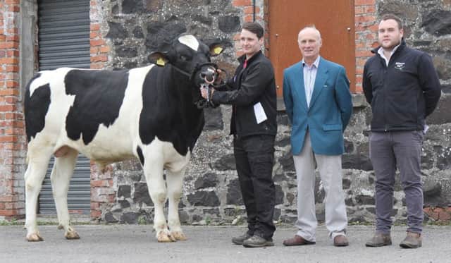 Supreme champion at Holstein NI's autumn show and sale in Kilrea was Bellemont Model ET bred by the McCollum family, Coleraine. Rueben MCollum was congratulated by judge Cyril Millar, Coleraine; and sponsor Darren Hamill, Wilson Agriculture. Picture: Julie Hazelton