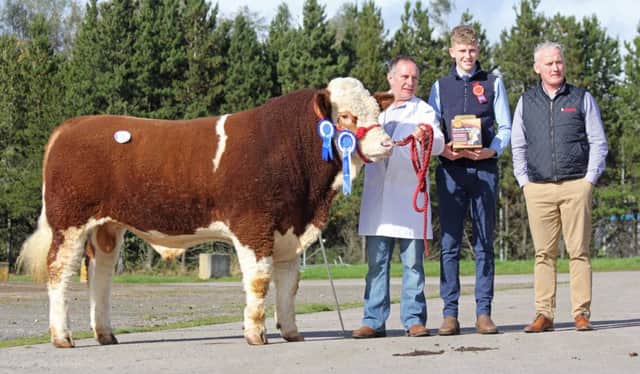 Reserve male champion Gurteen Iceman sold at 2,150gns for David Carson from Garrison, Co Fermanagh. Included are judge Conor Loane, Cookstown; and Kevin McAnenly, Bimeda, sponsor. Picture: Julie Hazelton