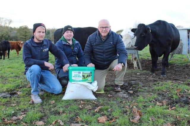 Discussing the very real threat of grass tetany when cows are grazed at 
this time of the year: left to right: Gary Rice, from Joseph Walls' Ltd, Clough; Malachy McGrath, suckler beef farmer from Annacloy in Co Down and David Morgan from Caltech Crystalyx
