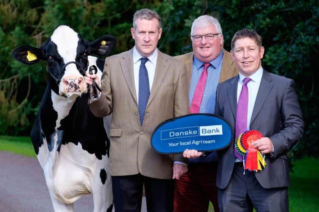 Danske Bank has confirmed its continued sponsorship of the Dungannon Dairy Sale. Outlinging plans for next week's sale are auctioneer Michael Taaffe; Holstein NI vice chairman Charlie Weir; and Danske Bank's head of agriculture Rodney Brown.Photograph: Columba O'Hare/ Newry.ie