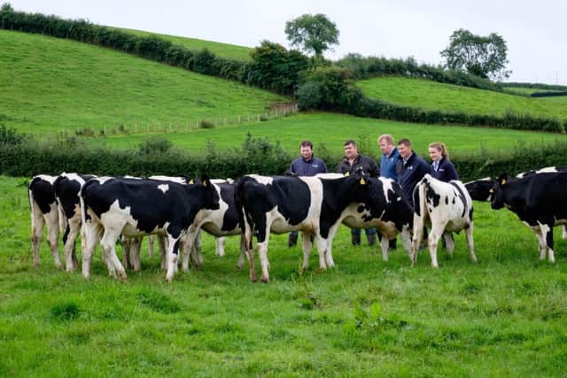 Looking over a batch of 11 month old Classic and Pello maiden heifers on John Lyons farm at Armagh. From left: Stuart McNulty, farm worker; John Lyons; Conor Loughran, Genus ABS; Simon Logan, Genus ABS and Jemma McHugh, Thompsons. Photograph: Columba O'Hare/ Newry.ie
