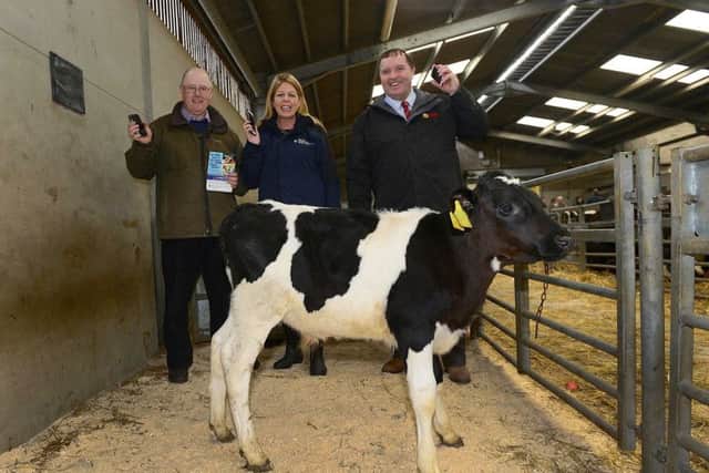 The Department of Agriculture, Environment and Rural Affairs (DAERA) has launched a new system that will enable cattle purchased at auction to be registered into the buyers herd via telephone. Pictured at Ballymena livestock market are (from left-right) Damian McCloskey UFU Co Antrim Chairman, Fiona McCandless Deputy Secretary DAERA, Desmond Fulton UFU Animal Health & Welfare Policy.