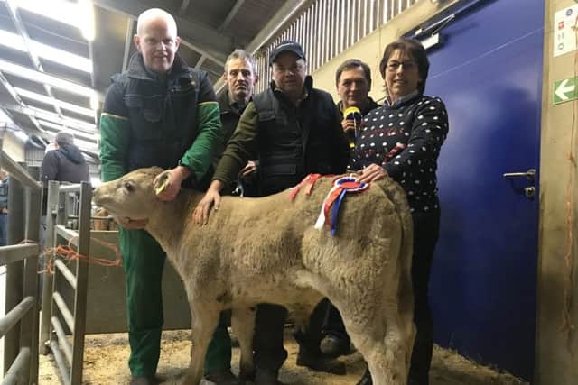 Champion Calf at the recent Christmas Calf show and sale held in Ballymena Market on Friday 14th December, included is G & A M Patton, Carrowdore who received champion with his Charolais calf, T Herbinson, N Rutherford, who judged the show, W Gillespie and Jean Wharry, representing Fane Valley Stores who kindly sponsored the show.