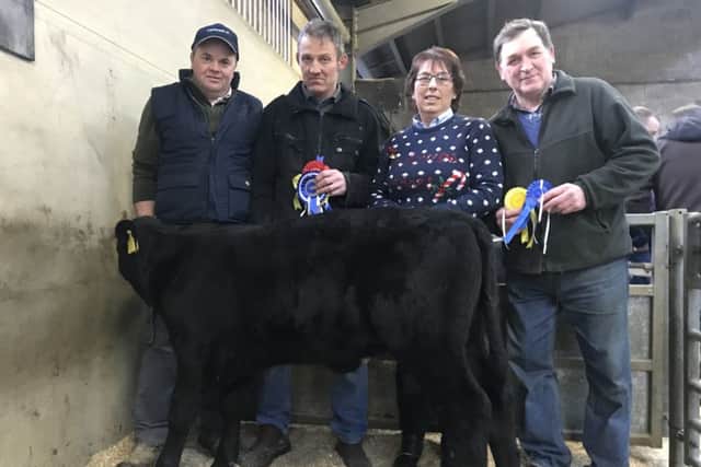 Reserve Champion Calf went to an Angus from T Herbinson, Randalstown, also included in picture is Noel Rutherford, who kindly judged the show, Jean Wharry (sponsor) and William Gillespie.