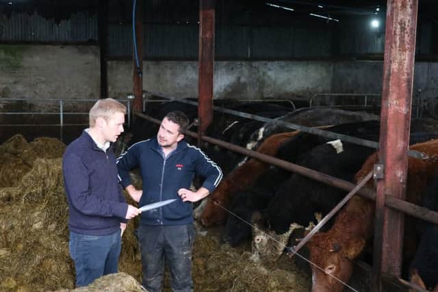Gareth Beacom (left), Beef and Sheep Development Adviser, CAFRE and Christopher McNeill Ballygawley, discuss winter feeding management for his suckler herd.