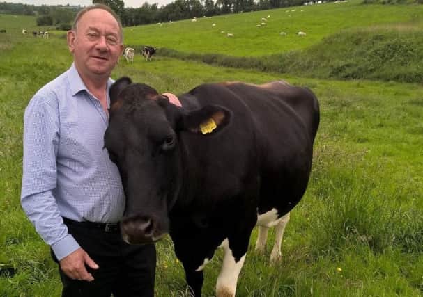 William Irwin MLA is pictured with one of the contentious anti-dairy billboards in Armagh City and also with one of his dairy cows which he says"clearly shows just how much care dairy cows receive".
