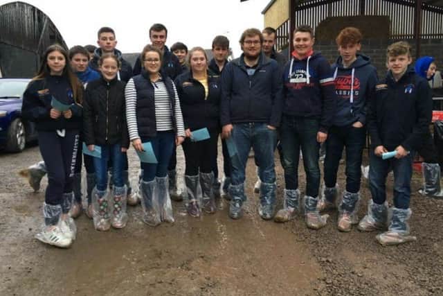 Trillick and District YFC stockjudgers