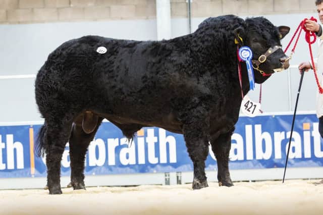 Westhall-Norris -11,500gns