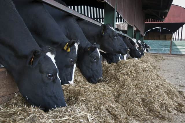 Taking greater control of feed waste can cut costs and improve margins