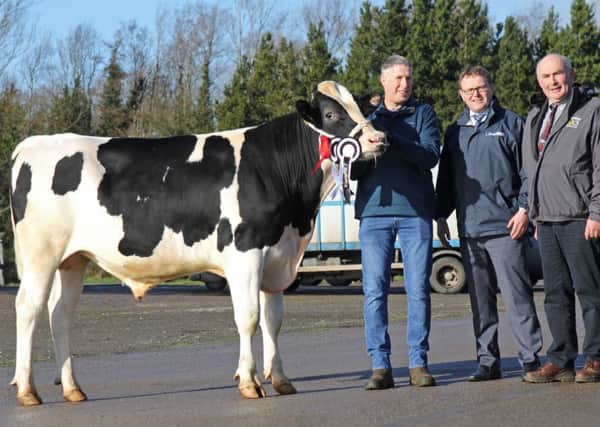 Malcolm McLean, Donaghmore, exhibited the supreme champion Relough Dartboard PLI £623 at Holstein NI's 29th annual spring show and sale. Adding their congratulations are sponsor Mark Forsythe, Danske Bank; and Tom Kelly, Drogheda, judge. Picture: Julie Hazelton