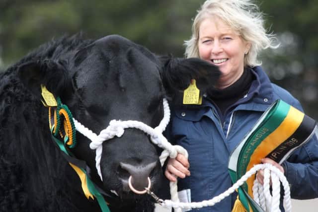 Hylda Mills, Scarva, with her supreme champion Dartrey Viscount Cid T655 sold for a top price of 4,500gns at the Aberdeen Angus Cattle Society's show and sale in Dungannon. Picture: Julie Hazelton