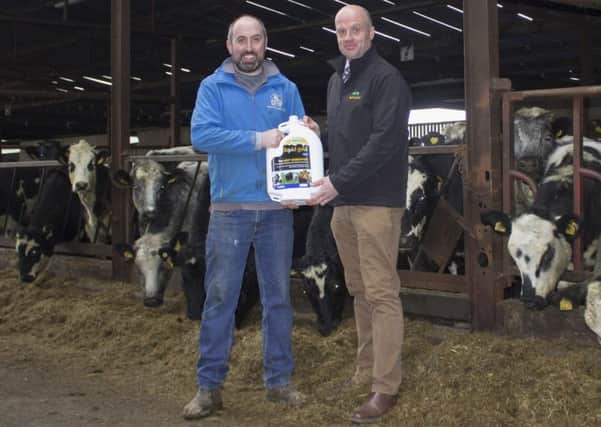 Paul Elwood, HVS Animal Heath will be at the Jalex Herd open day on Saturday, March 9 to discuss first hand how the Alexander family have benefited from using his Liquid Gold product