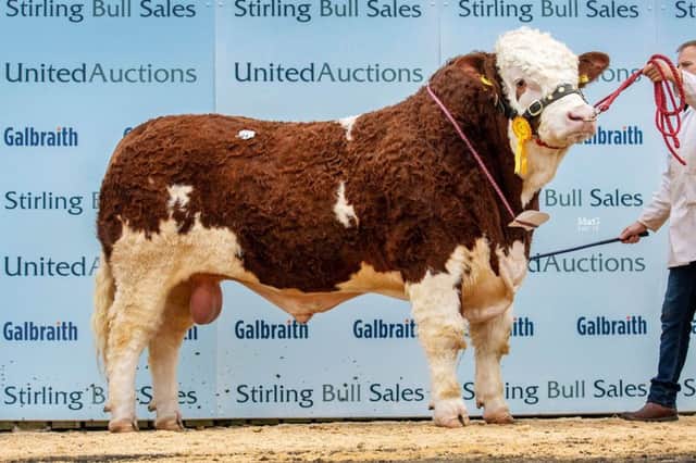 John Warnock, Carrowdore, paid out a top price of 14,000gns to secure the fourth placed Islavale Illusive. Picture: MacGregor Photography