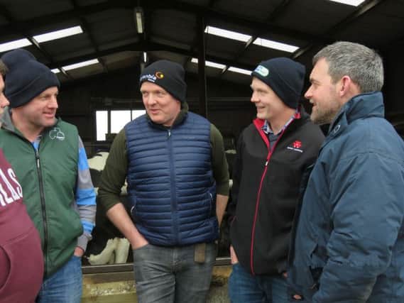 Sharing expertise on improving dairy margins at Rodney Clarkes farm at Maguiresbridge are from left Darren McCormick, Rodney Clarke, Trevor Dunn and Brian Cowan, all members of the Fivemiletown BDG dairying group.