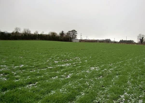 Monitor for disease on forward winter cereals