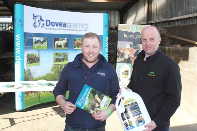 Eamon McGarry, Dovea Gentics and Paul Elwood, HVS Animal Health, discussing the tremendous results of a synchronised AI programme on 150 breeding heifers from the renowned Jalex herd, owned by Randalstown farmer James Alexander