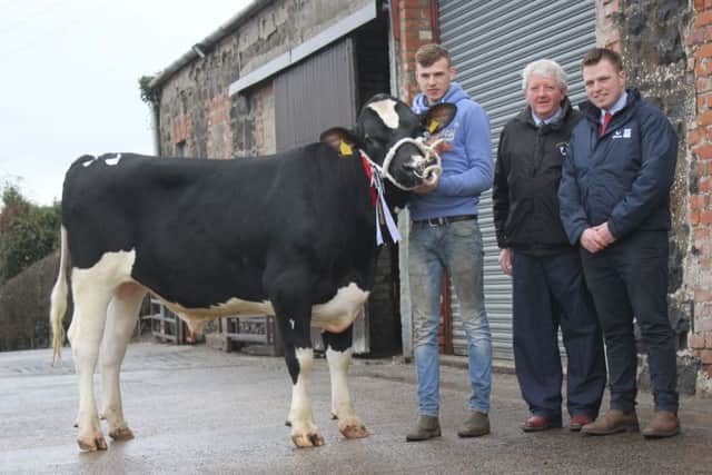 Jordan McLean, Donaghmore, exhibited the supreme champion Relough Darlos PLI £363 sold for 3,600gns at Holstein NI's Kilrea show and sale. Adding their congratulations are judge Ian Watson, Coleraine; and Jonny Ewing, Genus ABS, sponsor. Picture: Julie Hazelton