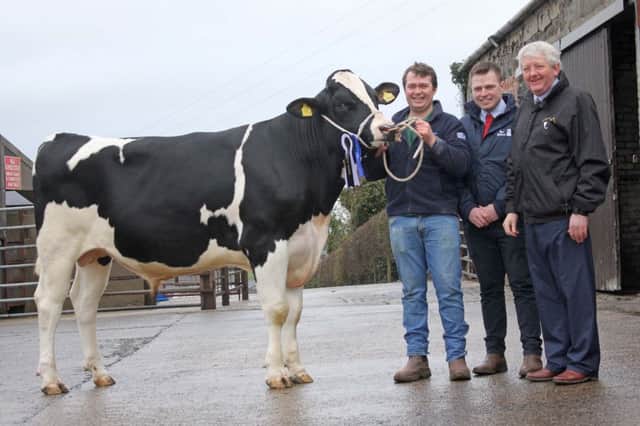 Reserve champion was Mullaugher Mane sold for 2,700gns by David McNaugher, Aghadowey. Included are sponsor Jonny Ewing, Genus ABS; and judge Ian Watson, Coleraine. Picture: Julie Hazelton