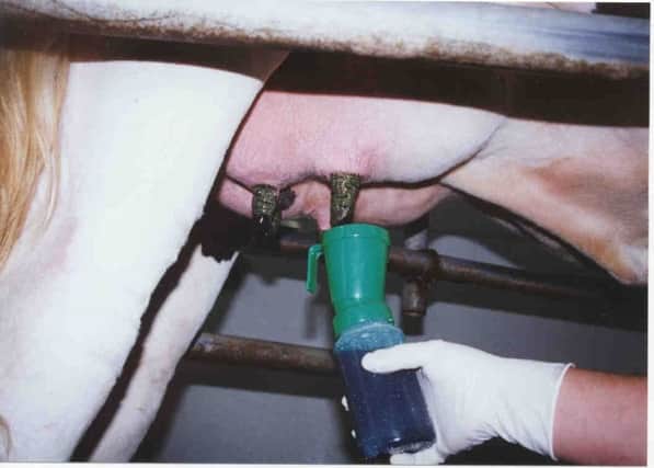 Udder Health Can Have a Significant Effect on Reproductive Efficiency