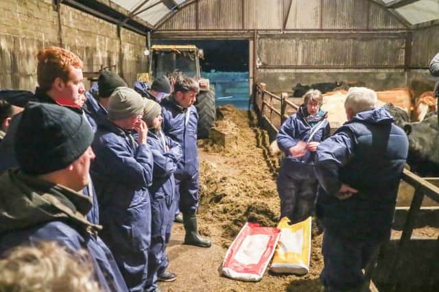 North Tyrone Business Development Group farmers discuss the use of minerals pre calving.