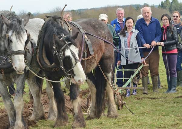 A new Connacht Horse Ploughing title will be on offer at the Co Roscommon Ploughing Championships on Sunday, April 7