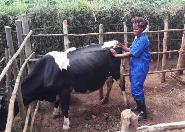 International development charity Send a Cow has launched a new campaign to help train new para-vets in the east African country of Rwanda