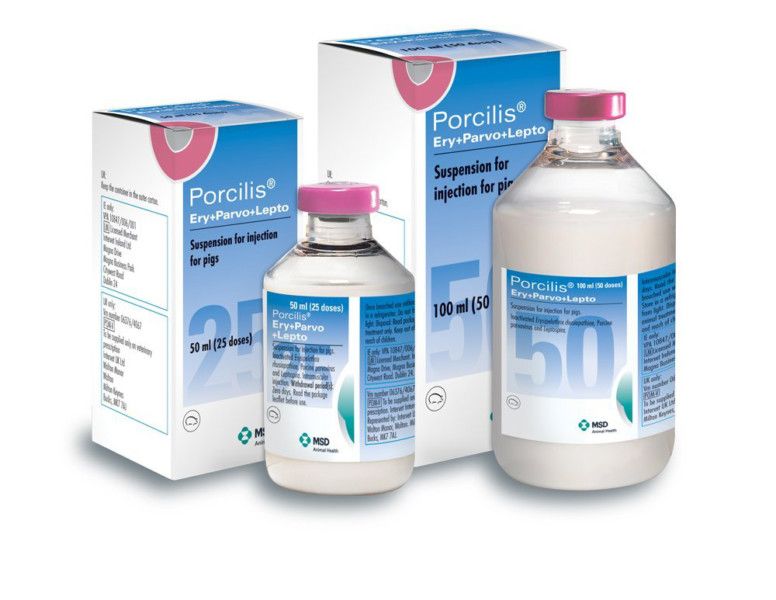 MSD launches new ‘first of it’s kind’ triple protection pig vaccine